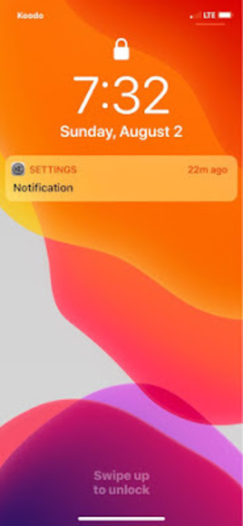 Meet your Posher, Jess - Picture 1 of 1